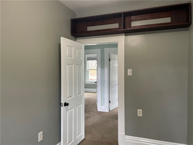 hallway with carpet flooring