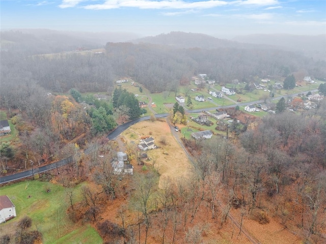 birds eye view of property featuring a mountain view