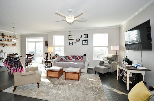 living room featuring plenty of natural light, dark hardwood / wood-style floors, and crown molding