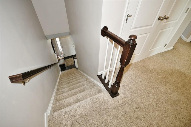 stairway featuring carpet floors