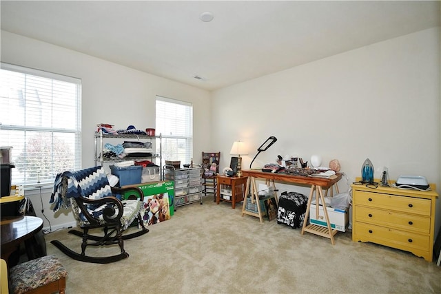 interior space with carpet floors and a wealth of natural light