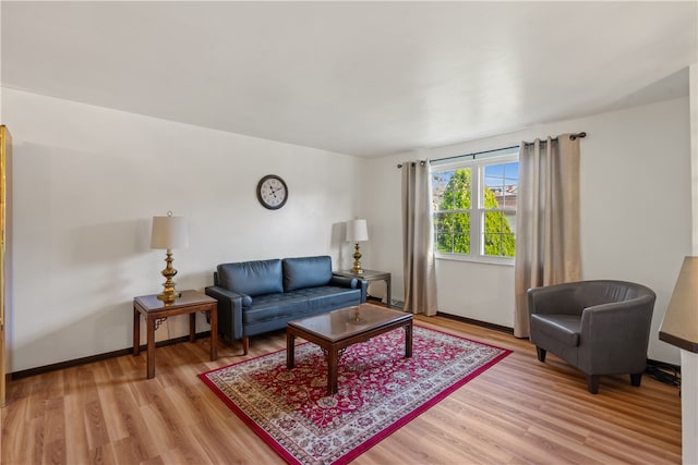 living room with light wood-type flooring