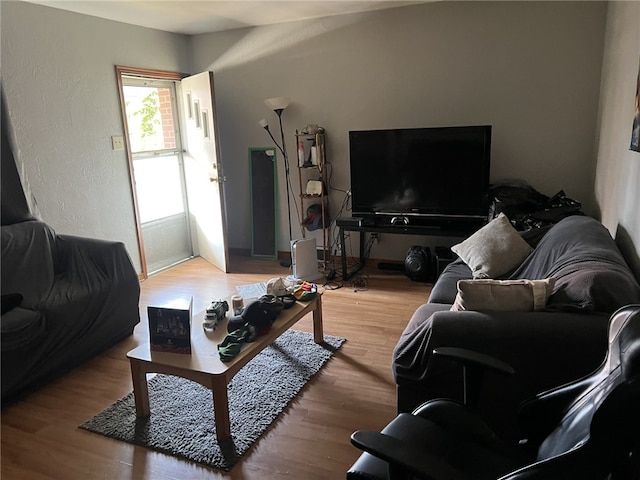 living room with hardwood / wood-style flooring