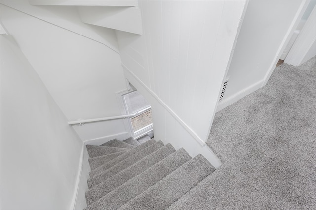 stairway with carpet floors