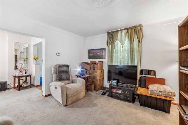 living area with carpet floors