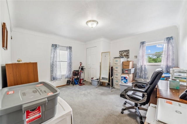 carpeted office featuring crown molding and plenty of natural light