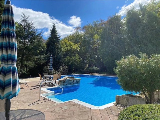 view of swimming pool featuring a patio