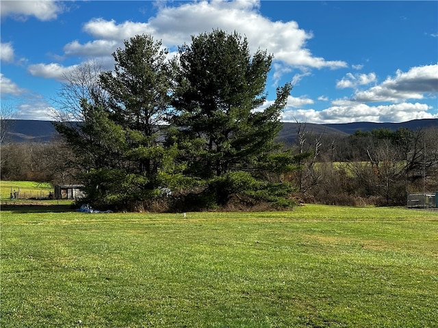 view of yard with a mountain view