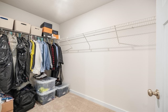 spacious closet with light carpet