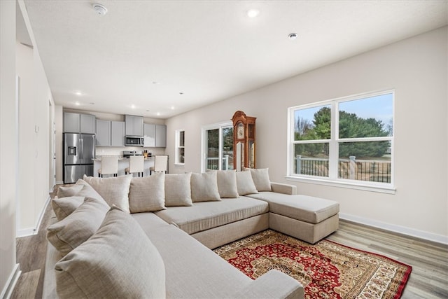 living room with light wood-type flooring