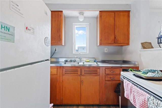 kitchen featuring ornamental molding, white appliances, stainless steel counters, and sink