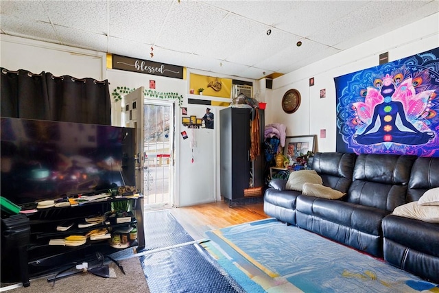 living room featuring hardwood / wood-style flooring