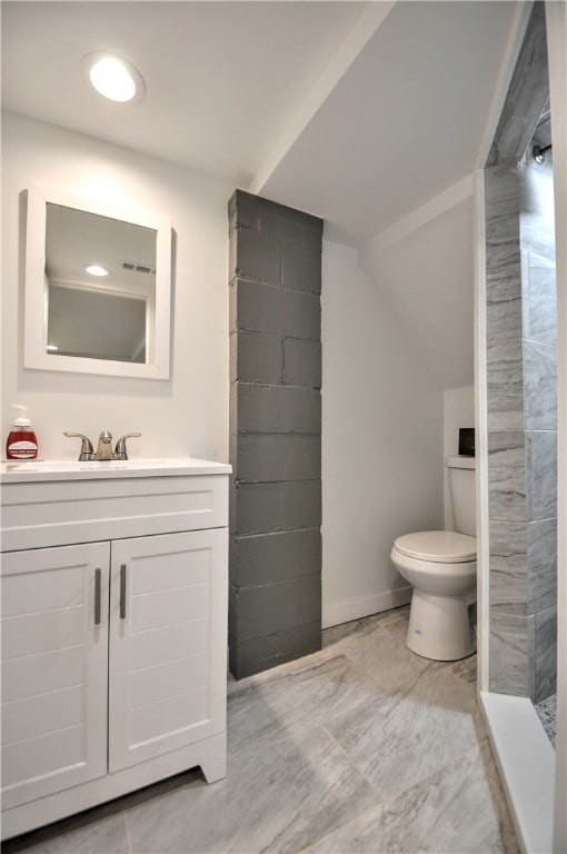 bathroom featuring vanity, toilet, and a shower