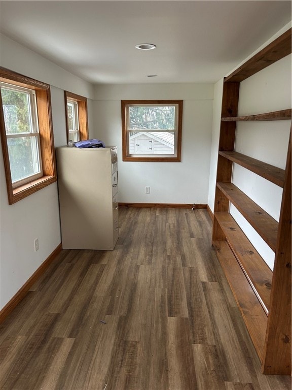 unfurnished room featuring dark wood-type flooring