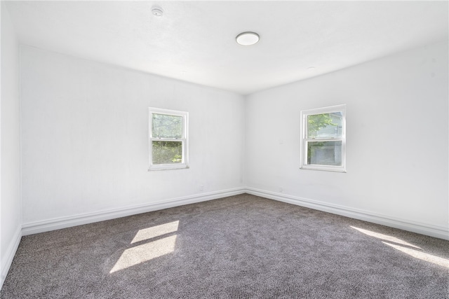 empty room featuring carpet and a wealth of natural light