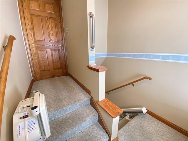 staircase featuring carpet floors