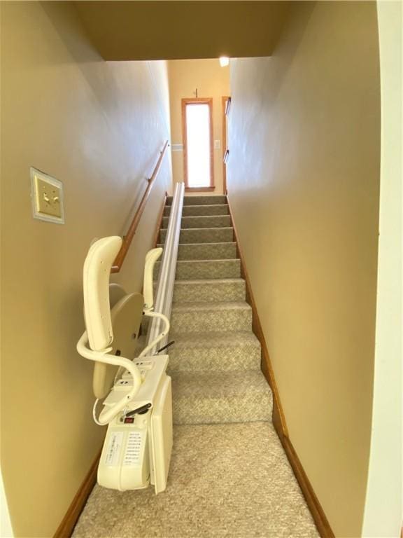 stairway featuring carpet flooring