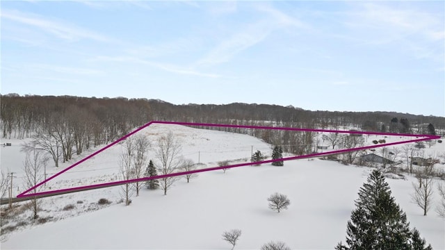 3240 E Lake Rd, Shenango, PA 16134 - snowy aerial view with property parcel outlined and a view of trees