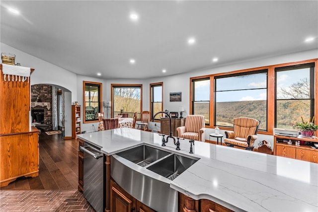 kitchen featuring light stone countertops, stainless steel dishwasher, a wealth of natural light, and sink