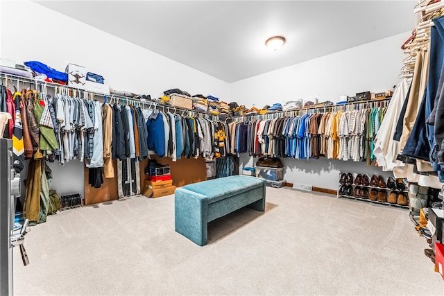 spacious closet with carpet