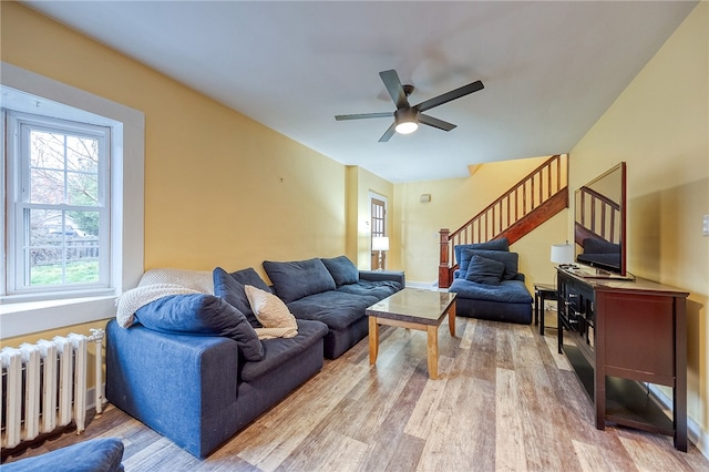 living room featuring ceiling fan, light wood-type flooring, and radiator