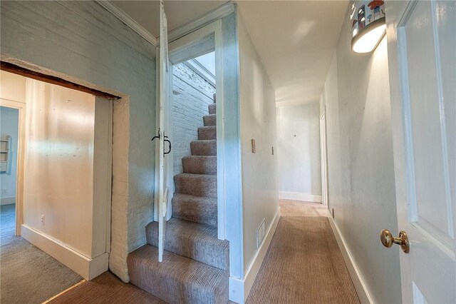 stairway with carpet flooring