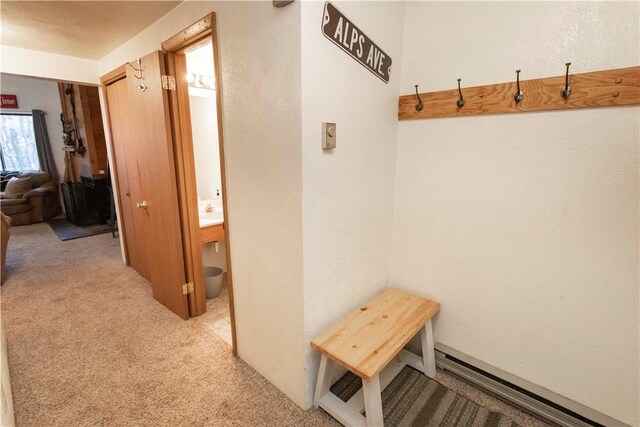 mudroom featuring light colored carpet