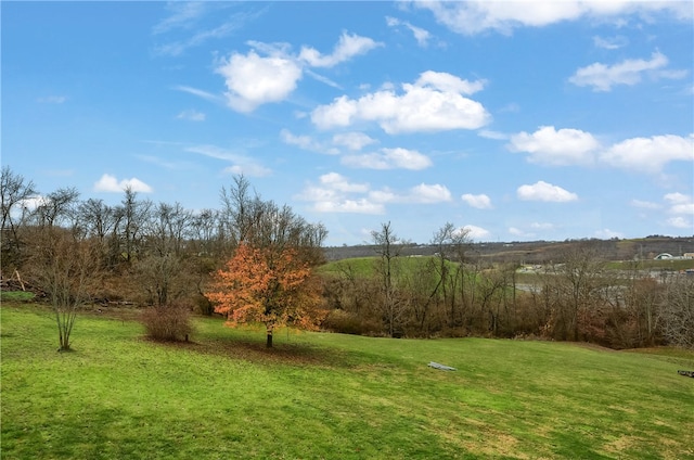 view of yard with a rural view