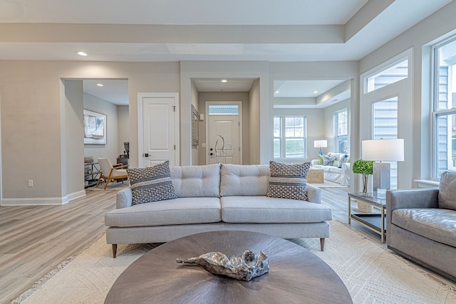 living room with a raised ceiling and light hardwood / wood-style floors