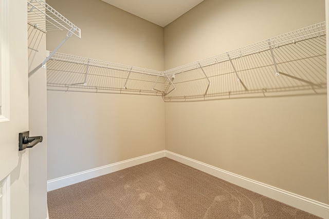 spacious closet with carpet flooring