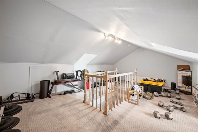 additional living space featuring carpet and vaulted ceiling with skylight