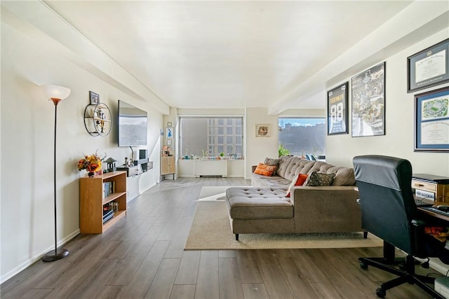 office area with wood-type flooring