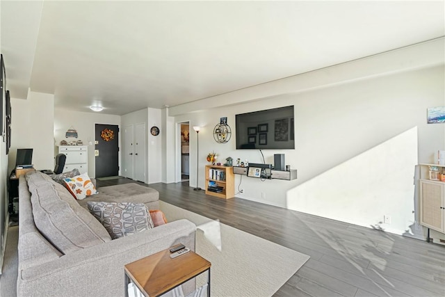 living room with hardwood / wood-style flooring