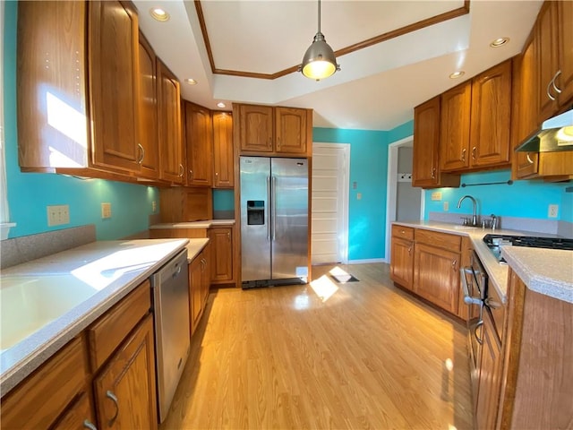 kitchen featuring a raised ceiling, sink, light hardwood / wood-style flooring, decorative light fixtures, and stainless steel appliances