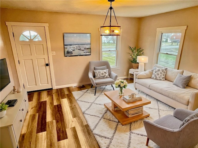 living room with hardwood / wood-style flooring