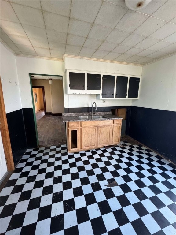 kitchen featuring a drop ceiling, crown molding, and sink