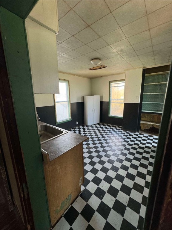 kitchen with sink and a drop ceiling