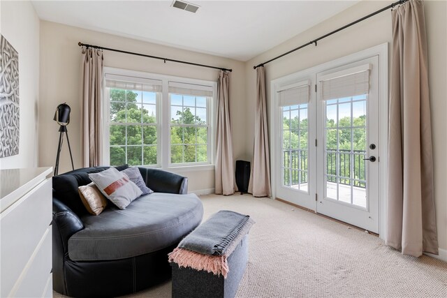 living area with light colored carpet and plenty of natural light