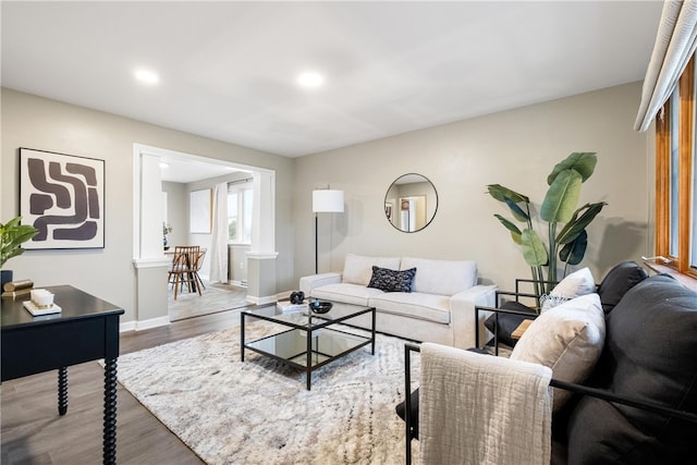 living room with wood-type flooring