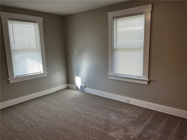 carpeted empty room with plenty of natural light