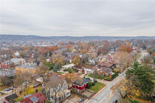 101 Point Breeze Pl, Point Breeze, PA 15208 - aerial view of residential area