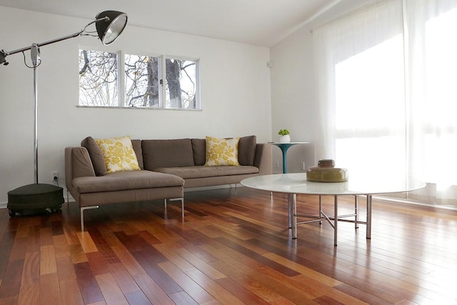 living room featuring wood-type flooring