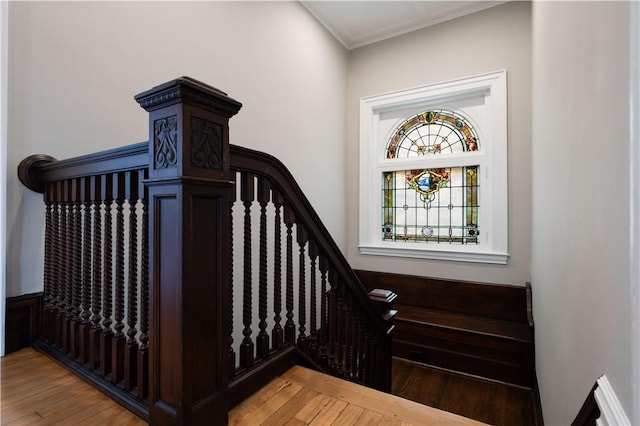 staircase with hardwood / wood-style flooring