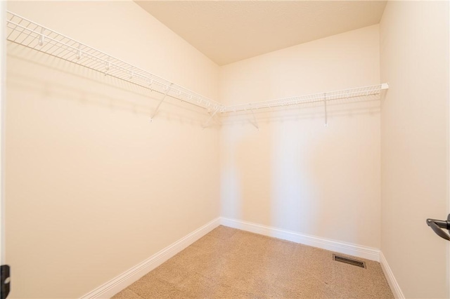 spacious closet featuring carpet flooring