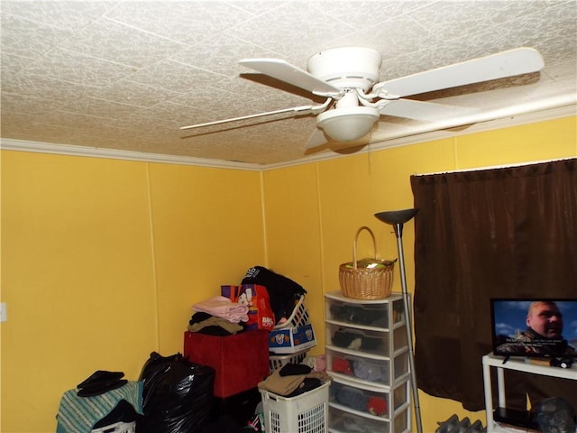 bedroom with ceiling fan and ornamental molding