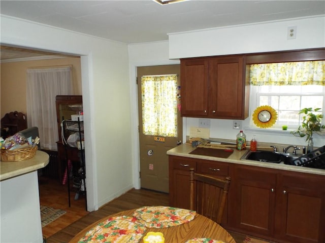 kitchen featuring dark hardwood / wood-style floors, a healthy amount of sunlight, and sink