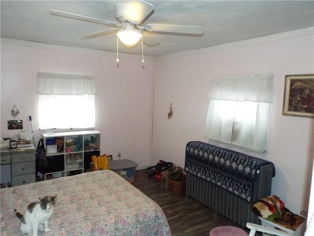 bedroom with ceiling fan, dark hardwood / wood-style flooring, crown molding, and multiple windows