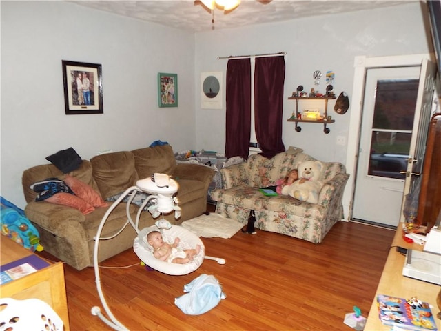 living room with hardwood / wood-style flooring