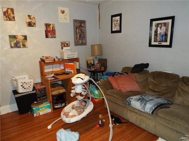 living room with hardwood / wood-style floors