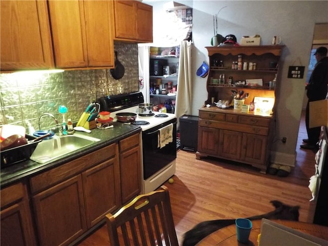 kitchen with sink, light hardwood / wood-style floors, tasteful backsplash, and electric stove